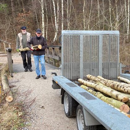 Er zijn weer stammen gezaagd voor toekomstige bouwers