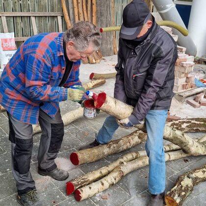 Ter voorkoming van uitdrogen/scheuren, worden de uiteinden van de stammen met verf ingesme