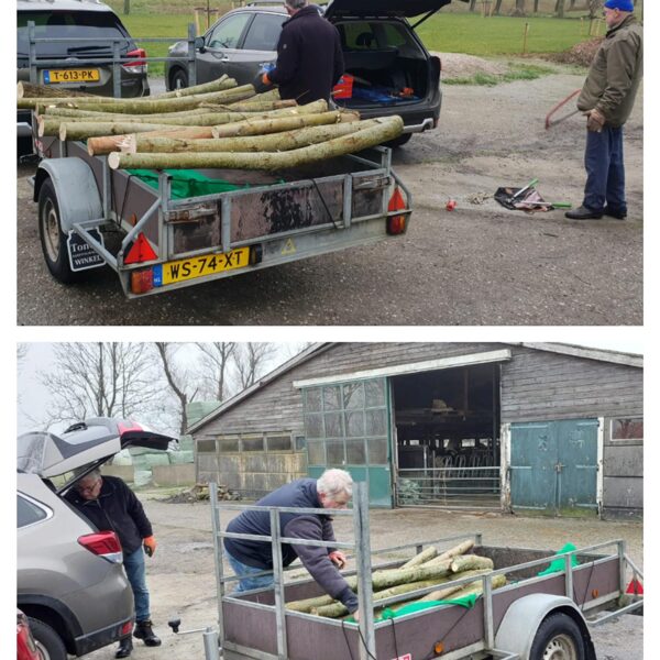 Zonder knotters, geen stammen, zonder stammen geen bouwers, zonder bouwers geen hoorns....